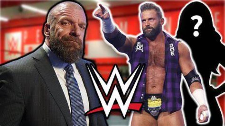 7 current and former WWE Superstars and what they want to do after retiring