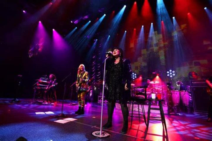 ann wilson legacy