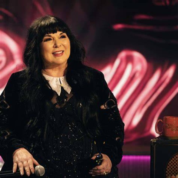 ann wilson recent projects