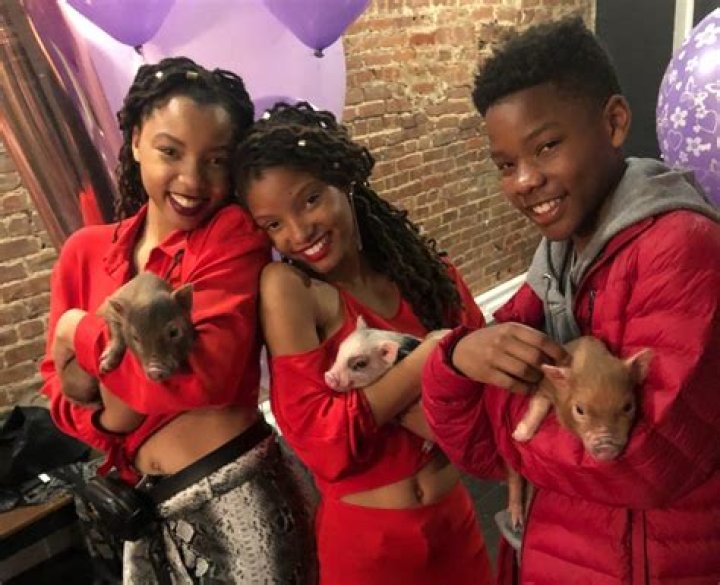 Branson Bailey Chloe x Halle Wiki Fandom