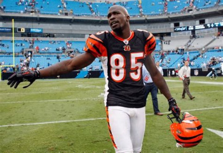 chad johnson net worth chad johnson net worth