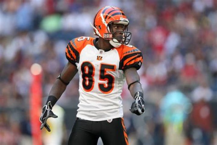 chad johnson ochocinco chad johnson ochocinco