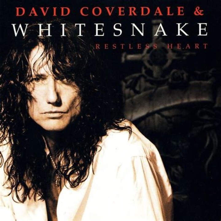 david coverdale whitesnake david coverdale whitesnake