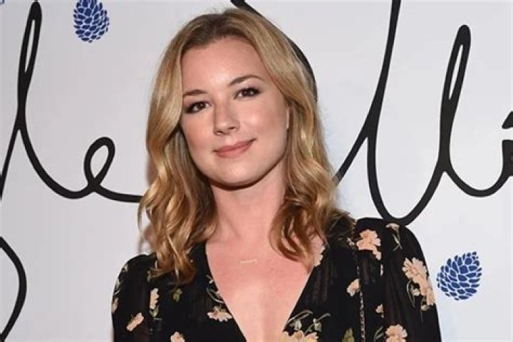 Emily VanCamp net worth Emily VanCamp net worth