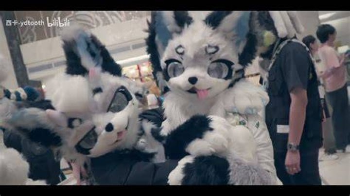 Exploring the Chinese Furries: A Comprehensive Guide