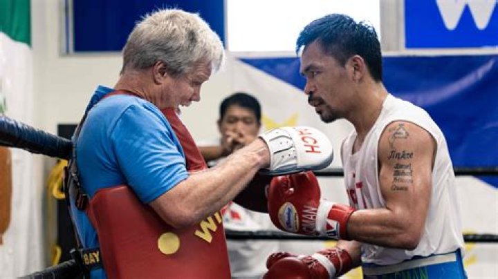 freddie roach boxing career freddie roach boxing career