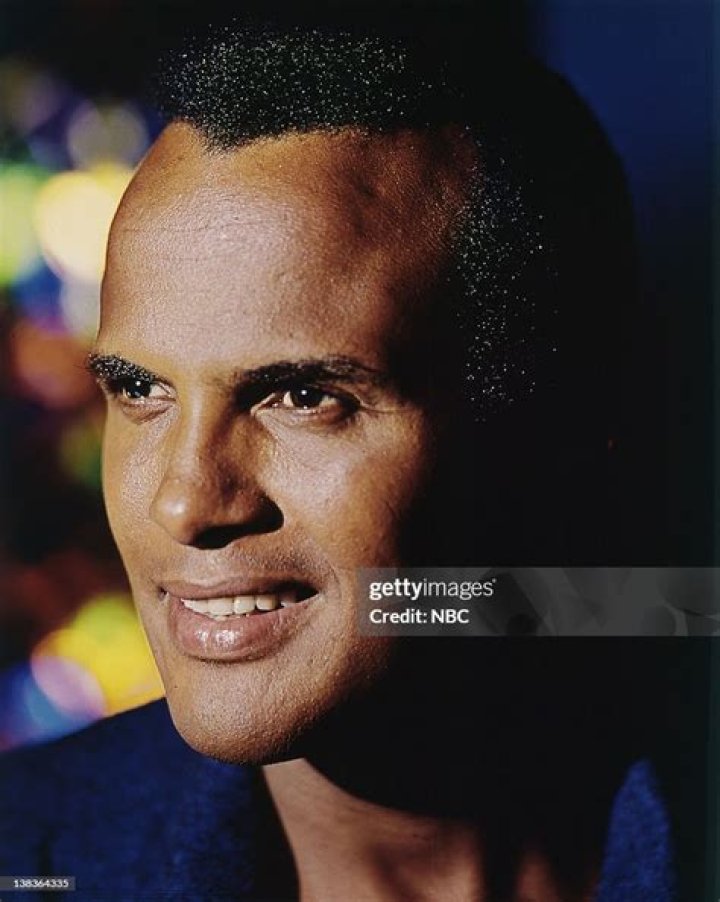 harry belafonte assets harry belafonte assets