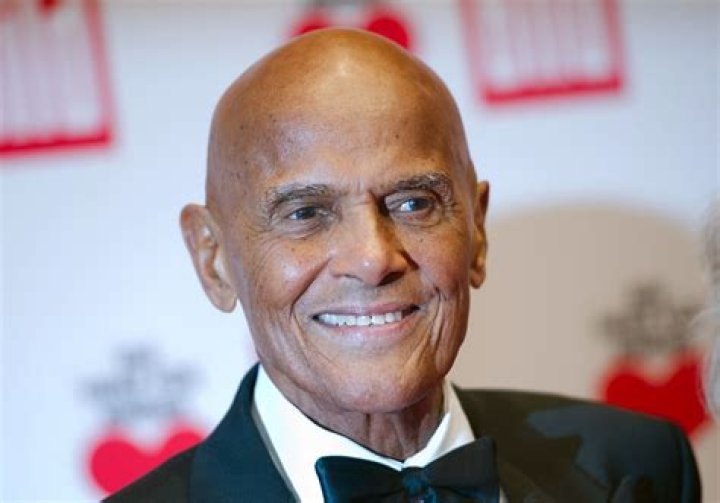 harry belafonte earnings harry belafonte earnings