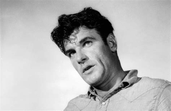 james best actor james best actor