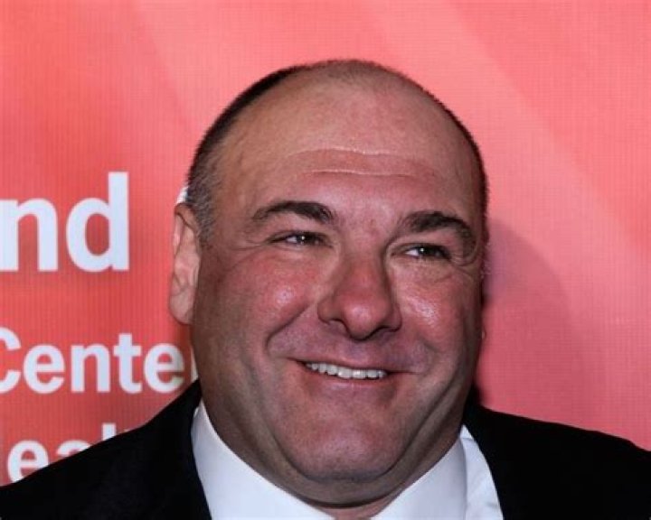 James Gandolfini net worth James Gandolfini net worth