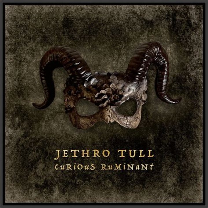 jethro tull image
