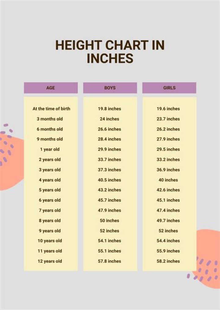Lizzo’s Age & Height 2019 How Old & Tall Is She?