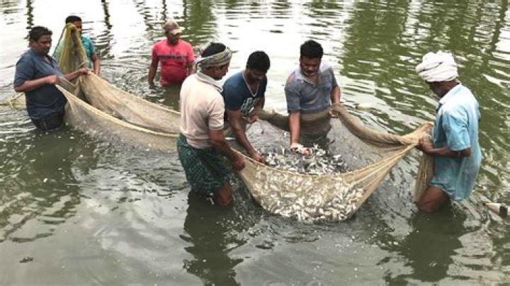 People at fish ponds in Belize