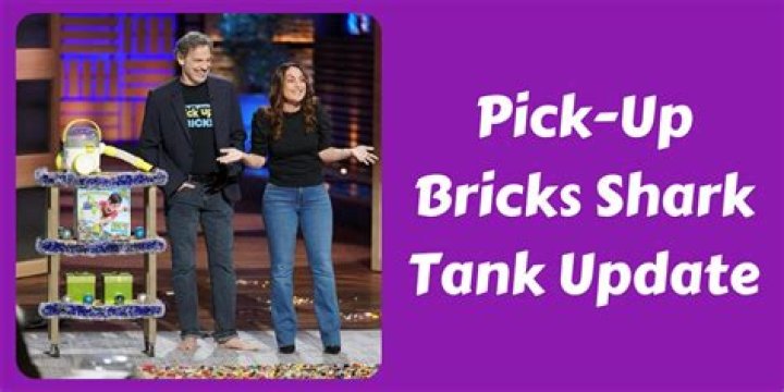 Pick-Up Bricks Shark Tank pitch