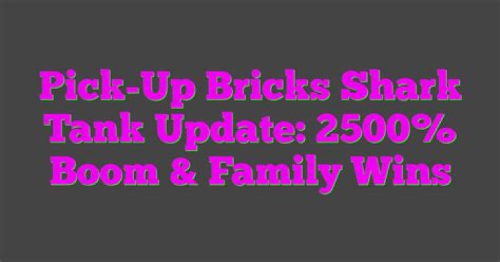 Pick-Up Bricks Shark Tank update