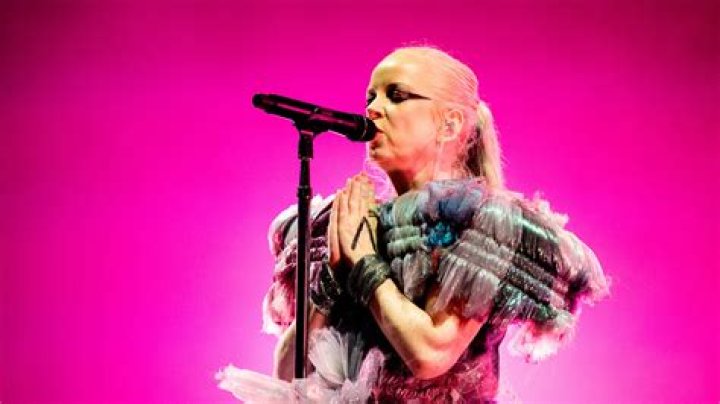 Shirley Manson future projects