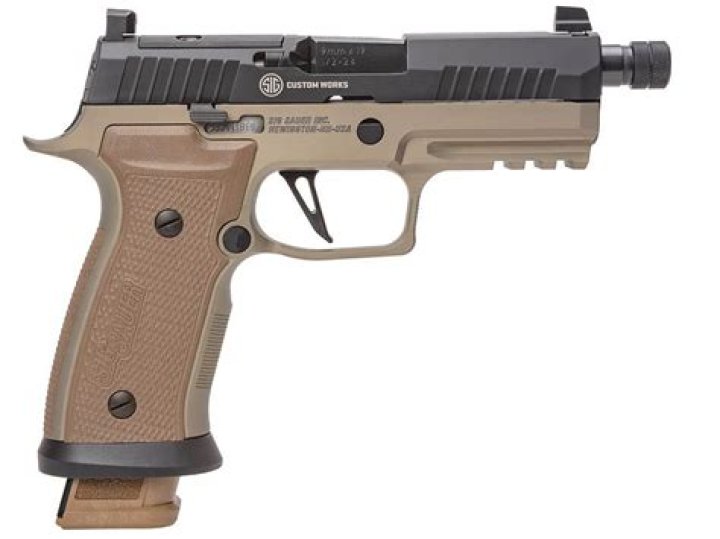 Sig Pistols Sig Pistols