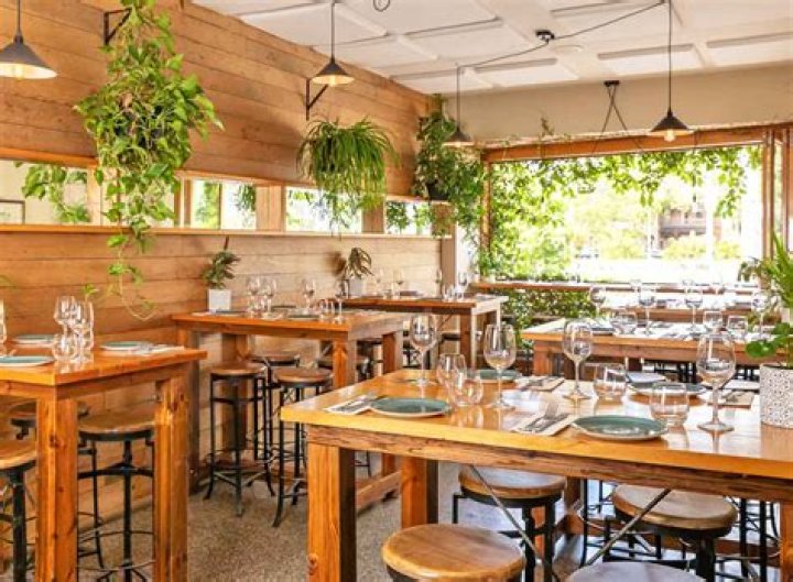 The Tippler: Unlocking Secrets And Insights
