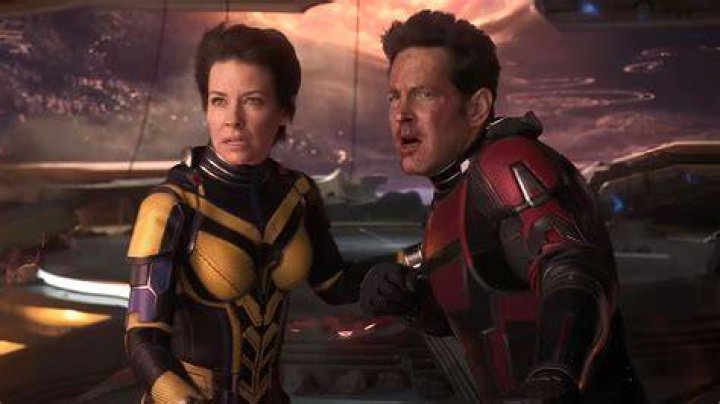 The Wasp