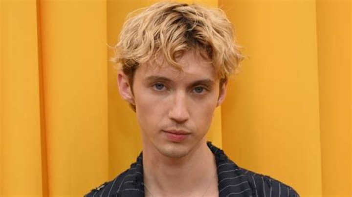 Troye Sivan career beginnings Troye Sivan career beginnings