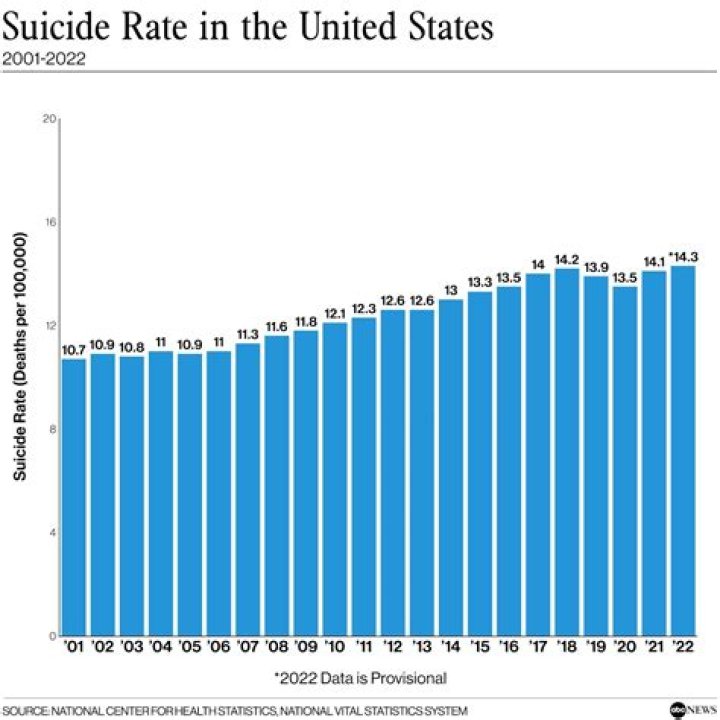 US suicides 'spiked after Robin Williams's death' BBC News