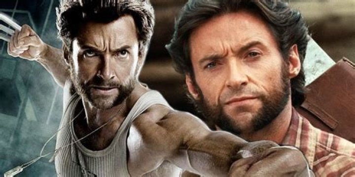 Wolverine net worth