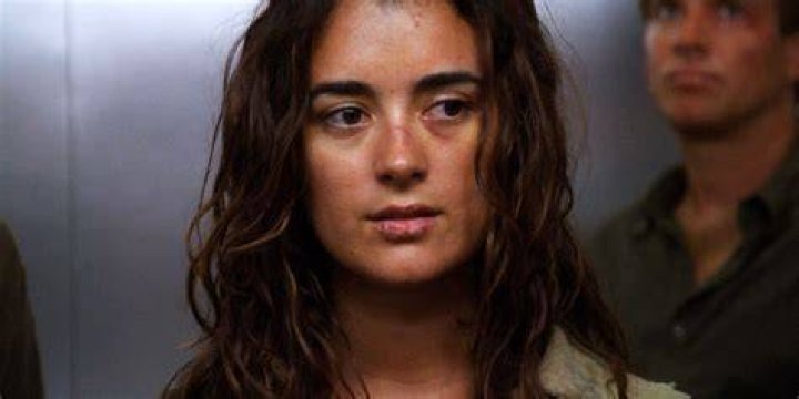 Ziva David From NCIS by petnick on DeviantArt Cote de pablo, Maria